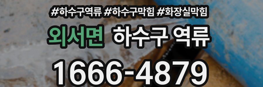 외서면 하수구 역류