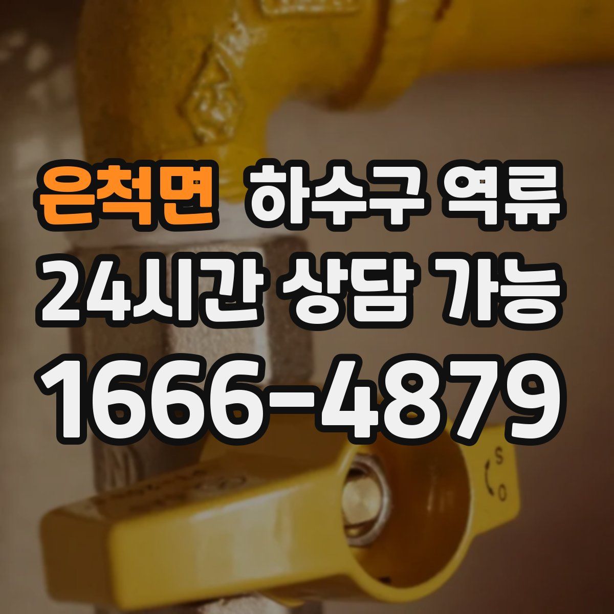 은척면 하수구 역류