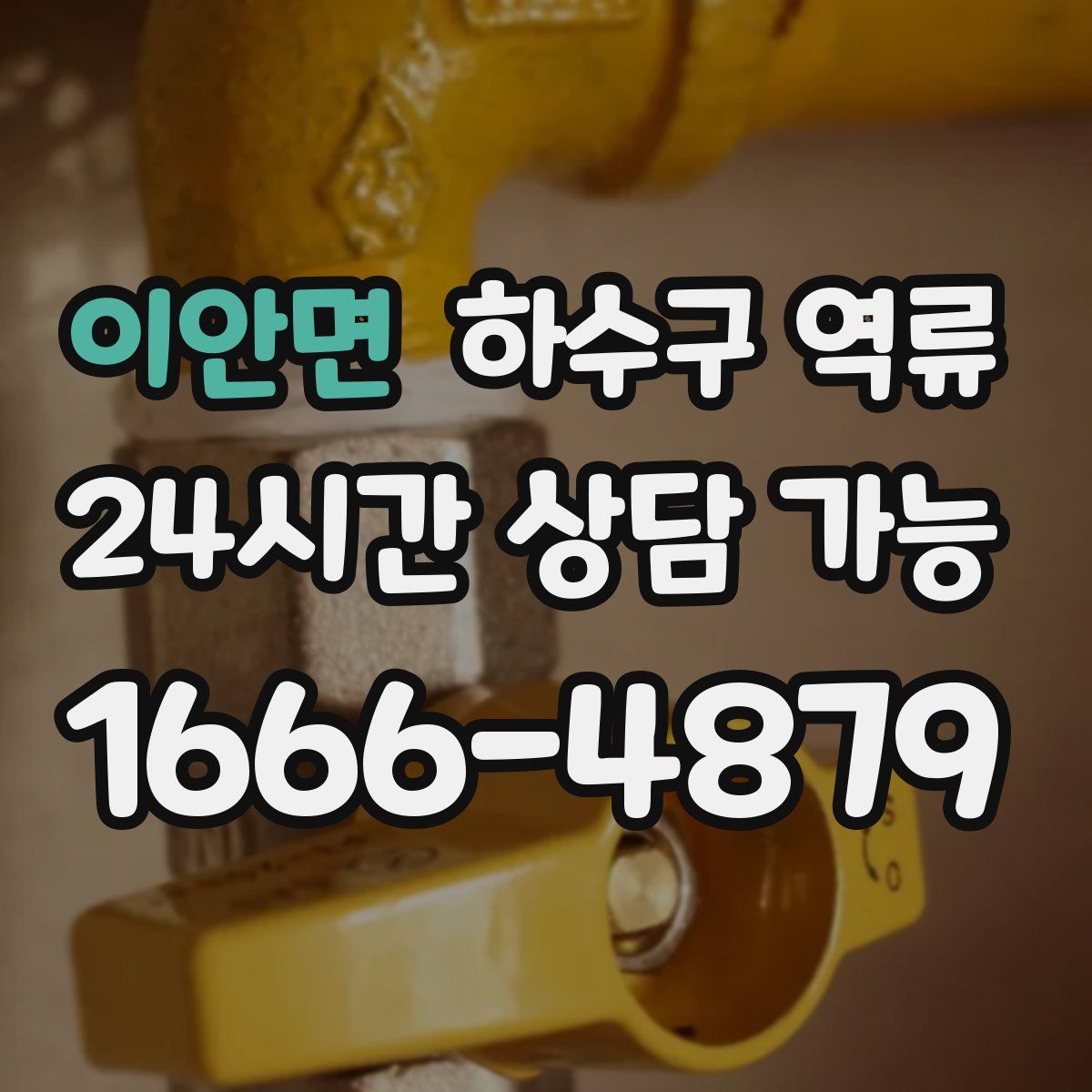 이안면 하수구 역류