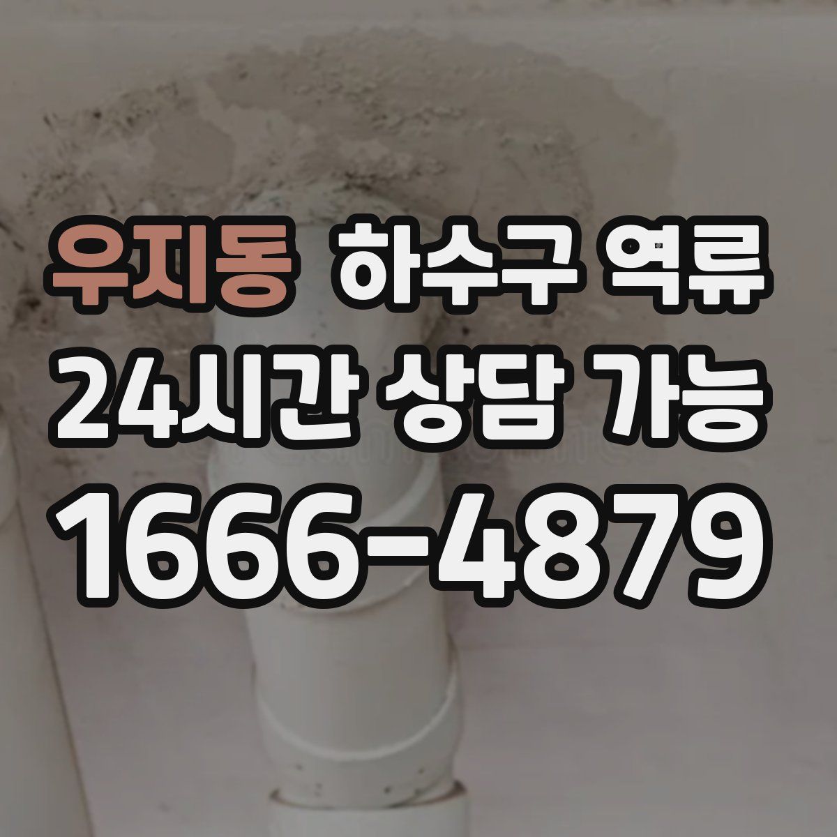 우지동 하수구 역류