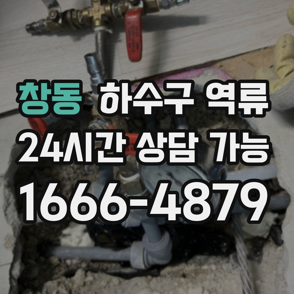 창동 하수구 역류