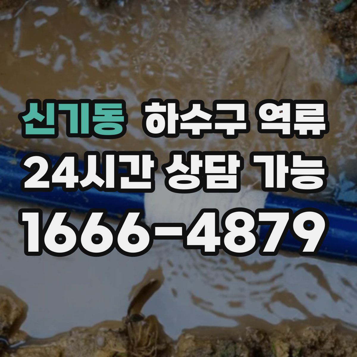 신기동 하수구 역류