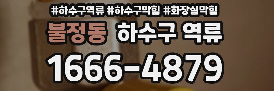 불정동 하수구 역류