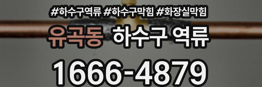 유곡동 하수구 역류