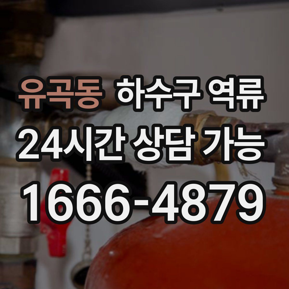 유곡동 하수구 역류