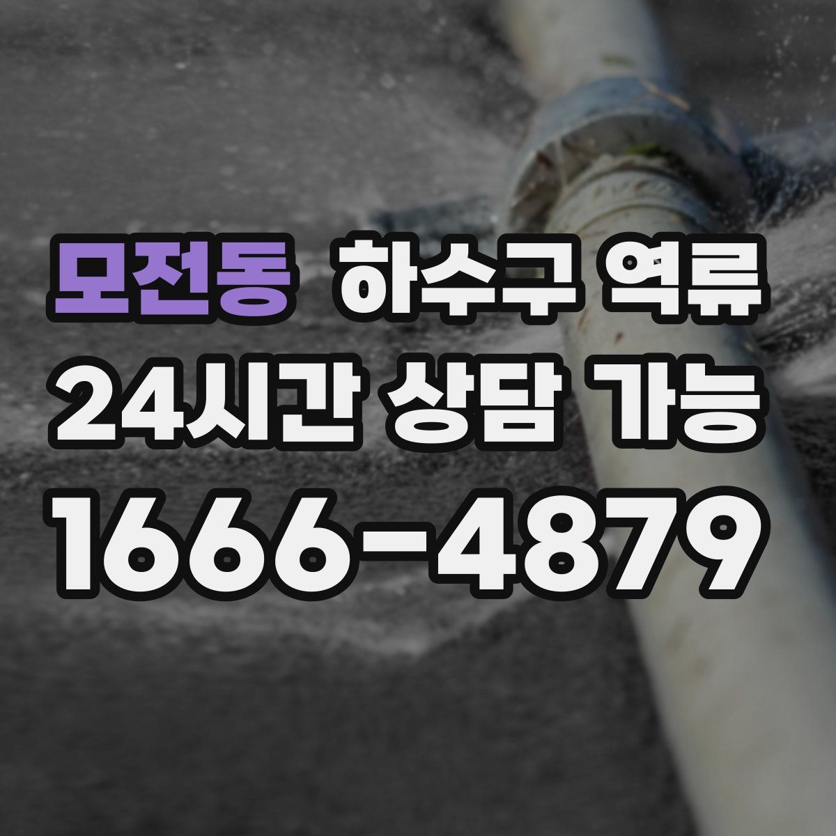 모전동 하수구 역류