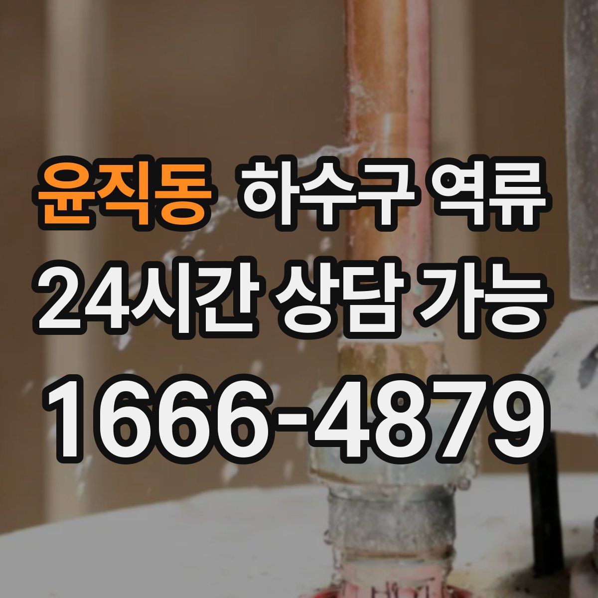 윤직동 하수구 역류