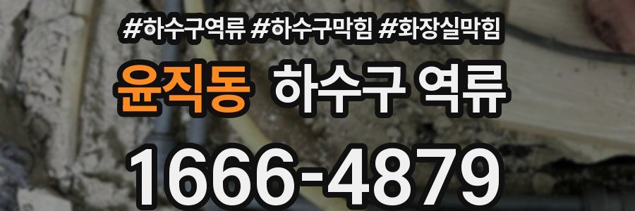 윤직동 하수구 역류