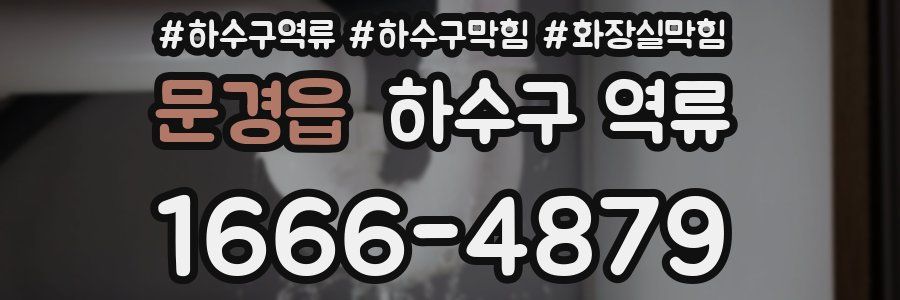 문경읍 하수구 역류