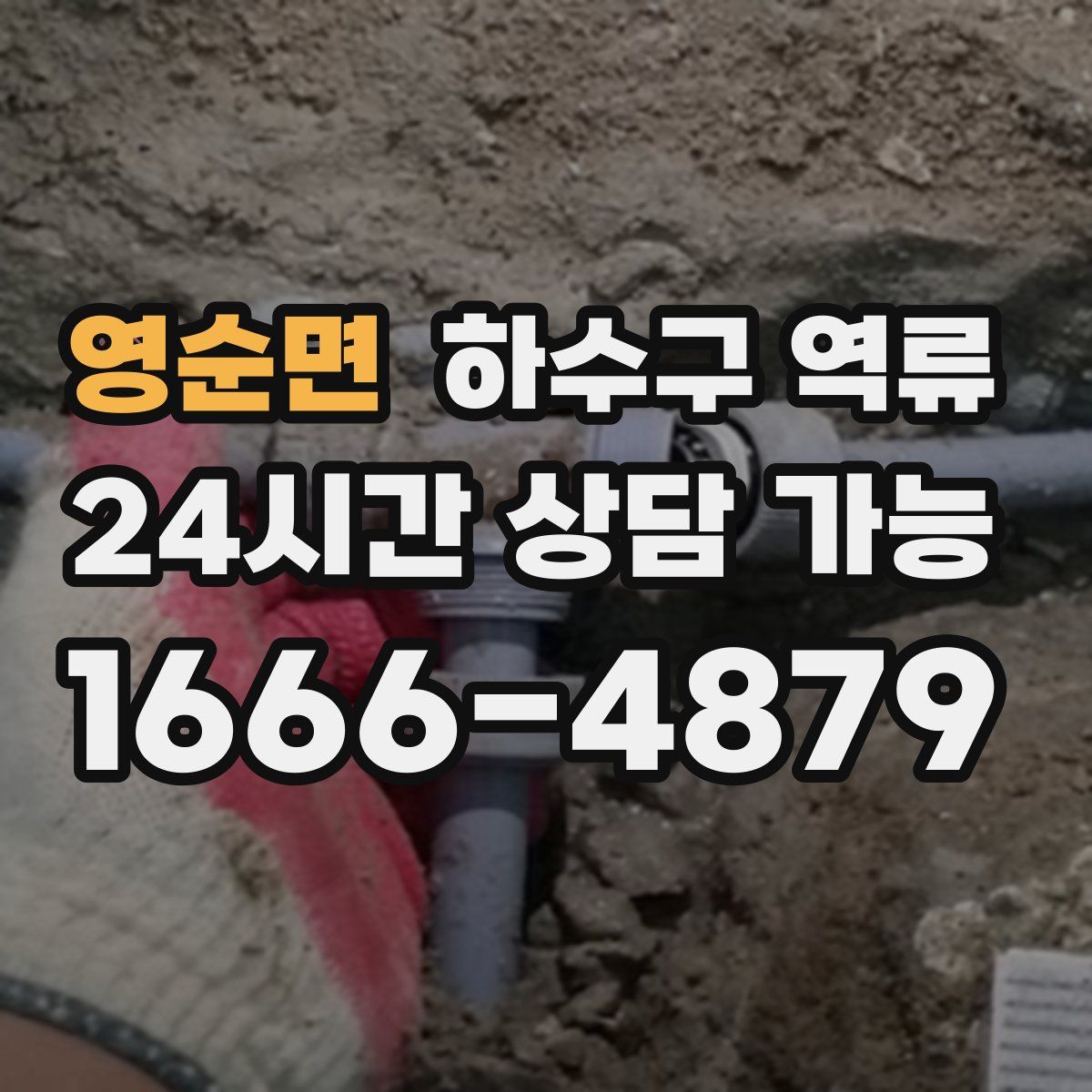 영순면 하수구 역류