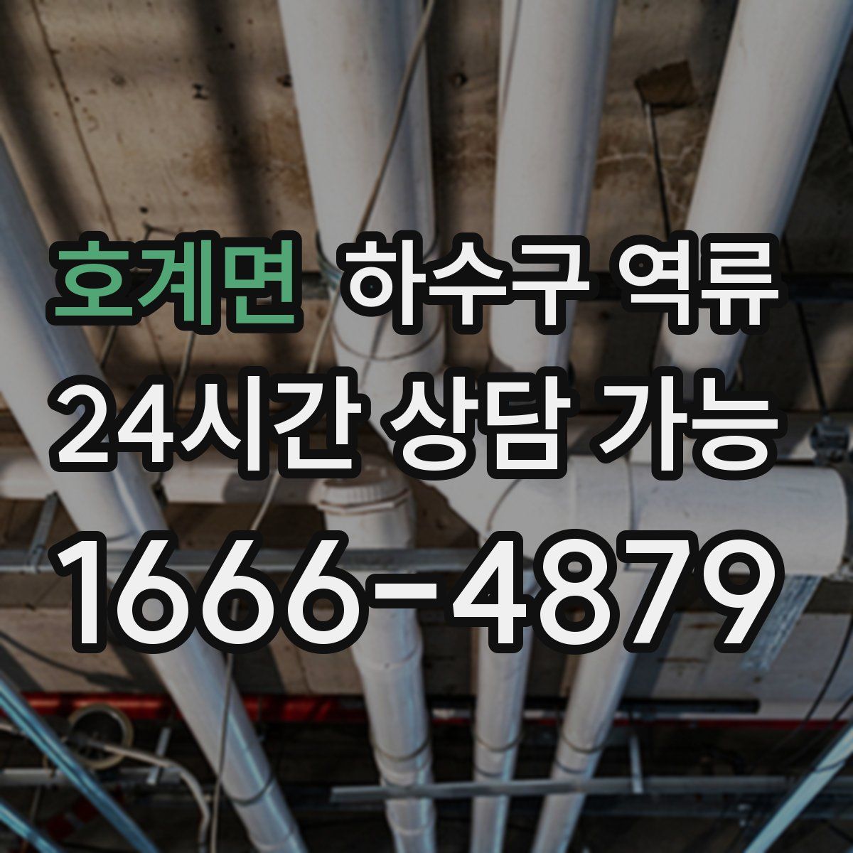 호계면 하수구 역류