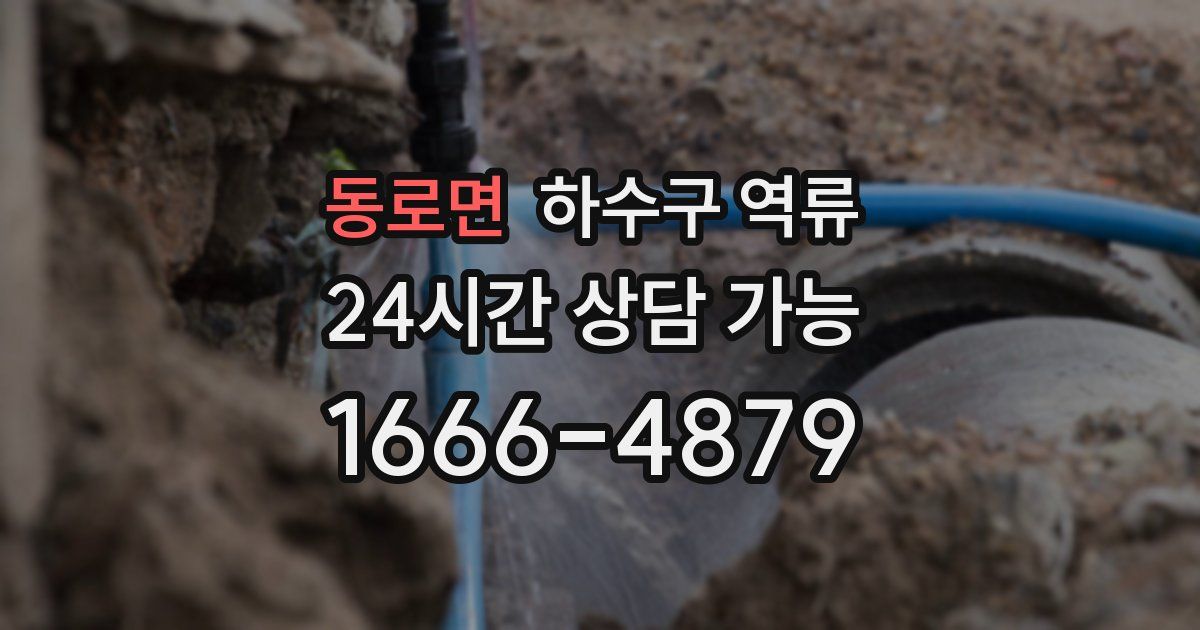 동로면 하수구 역류