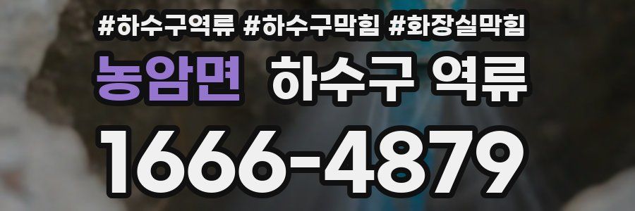 농암면 하수구 역류