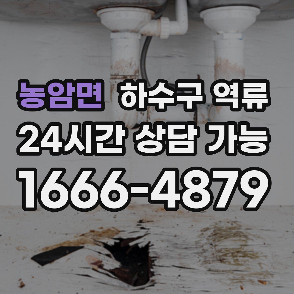 농암면 하수구 역류