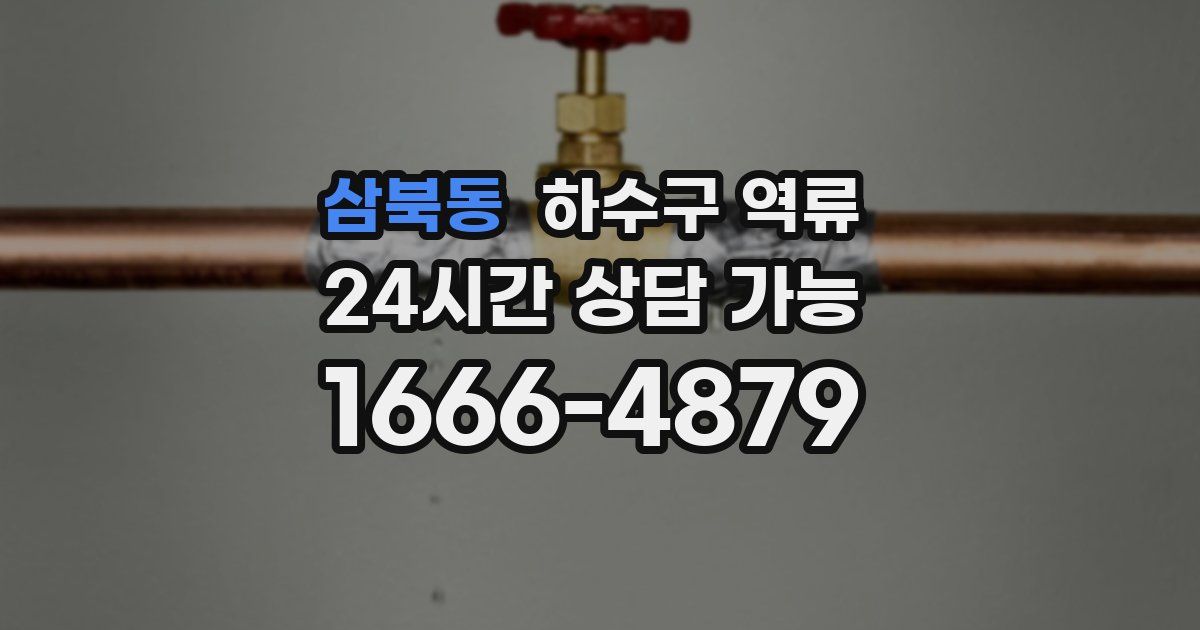 삼북동 하수구 역류