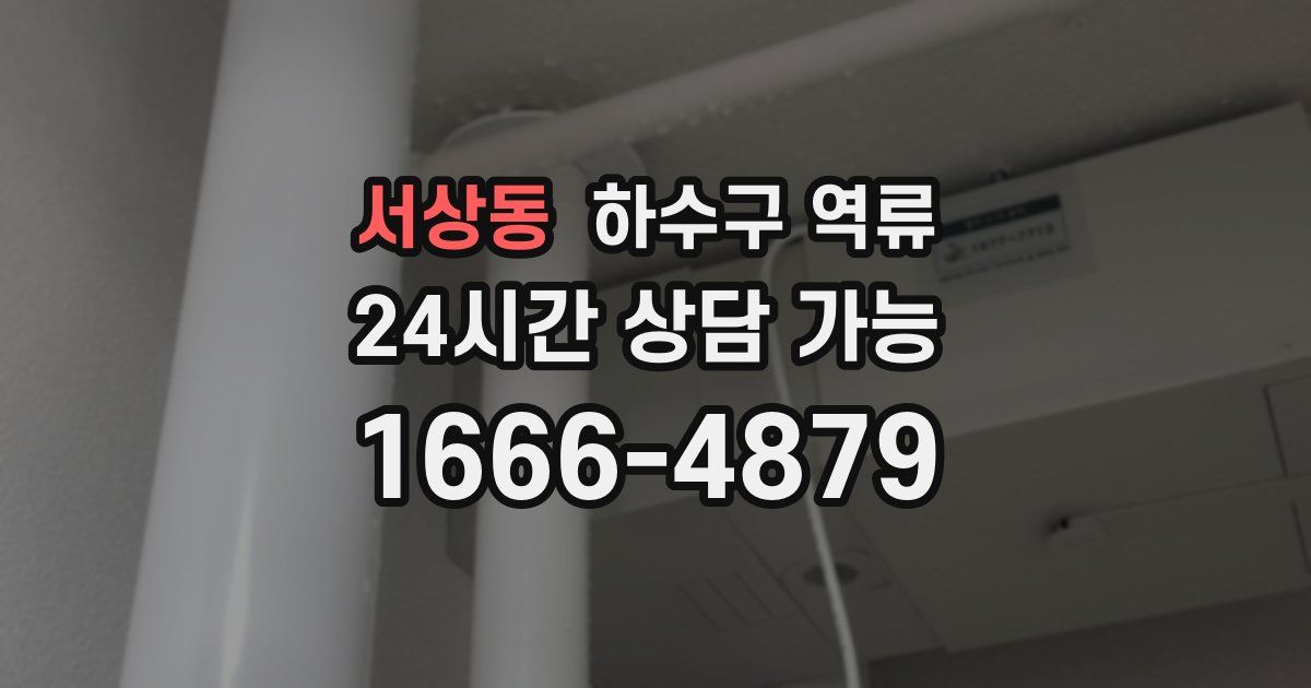 서상동 하수구 역류