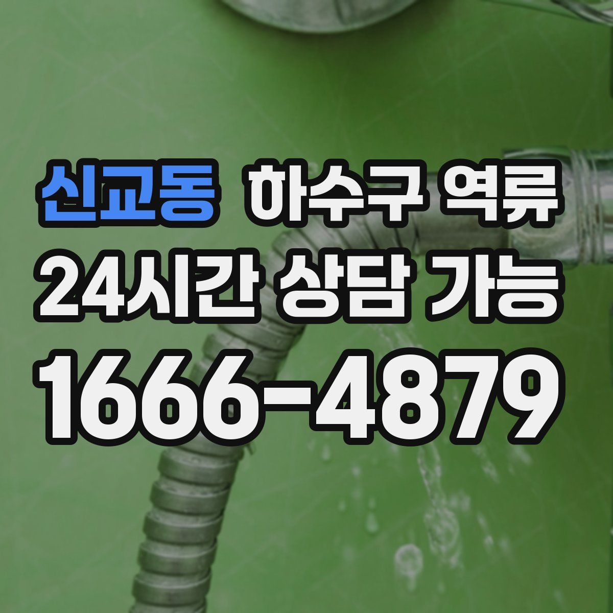 신교동 하수구 역류