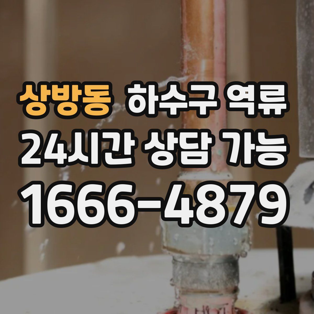 상방동 하수구 역류