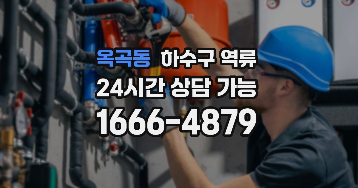 옥곡동 하수구 역류