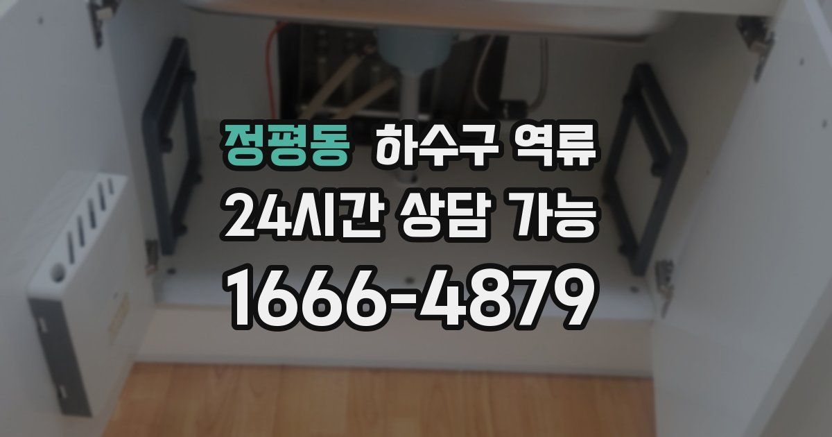 정평동 하수구 역류