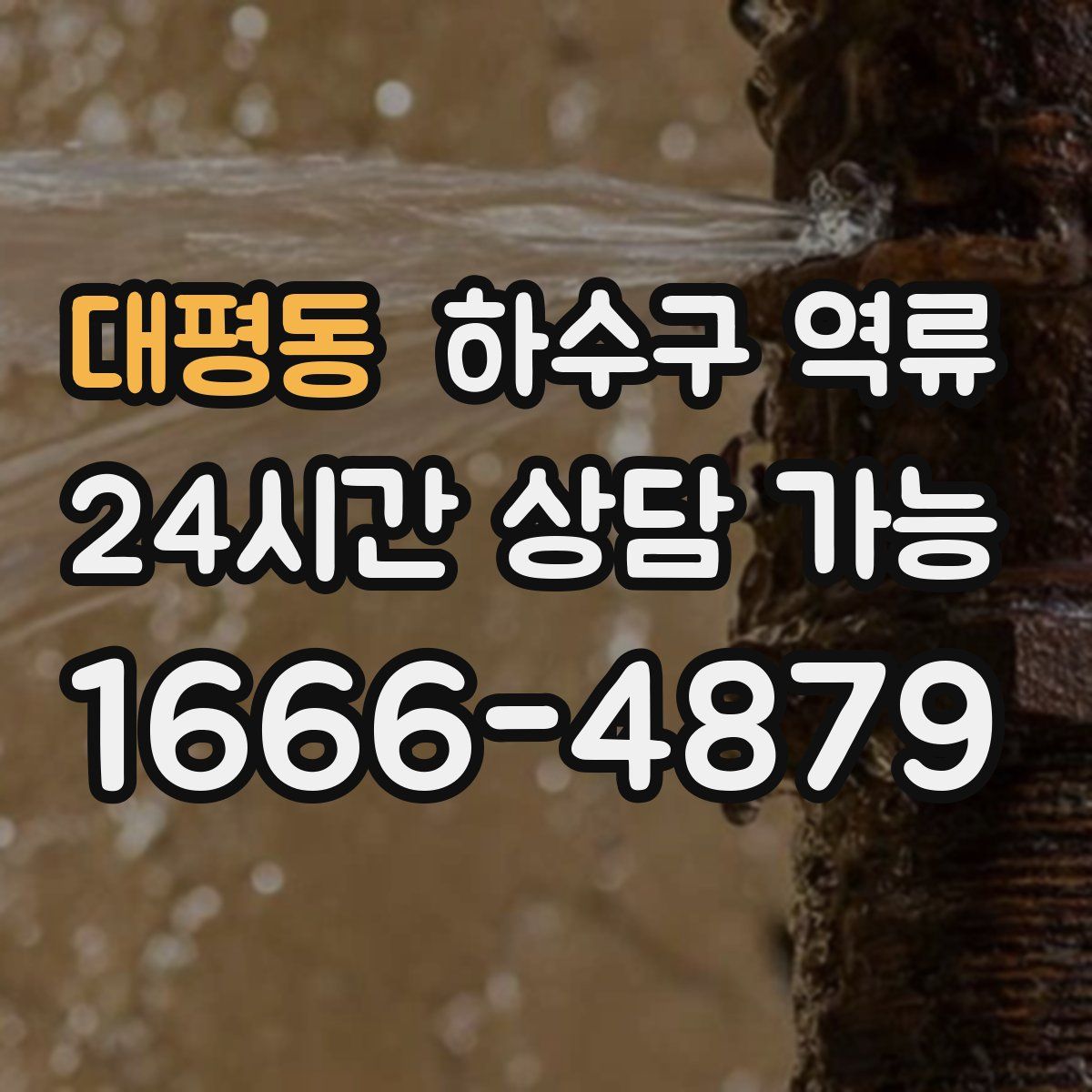 대평동 하수구 역류