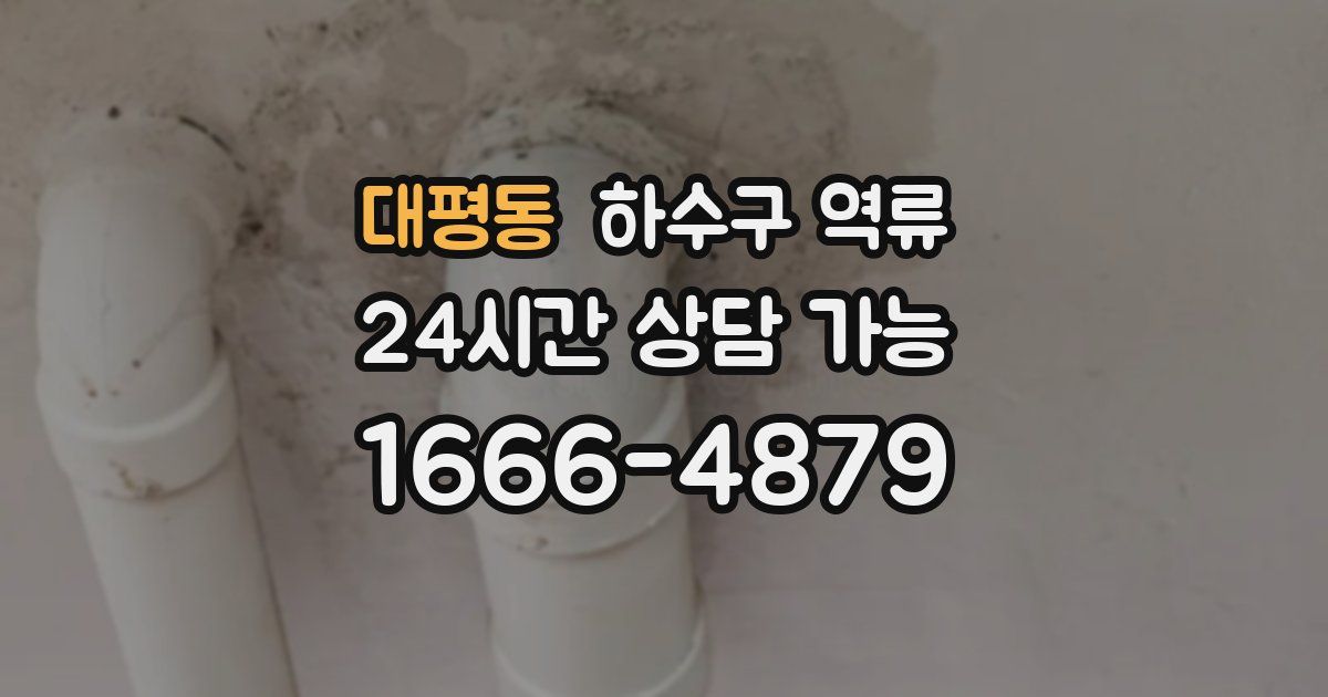 대평동 하수구 역류