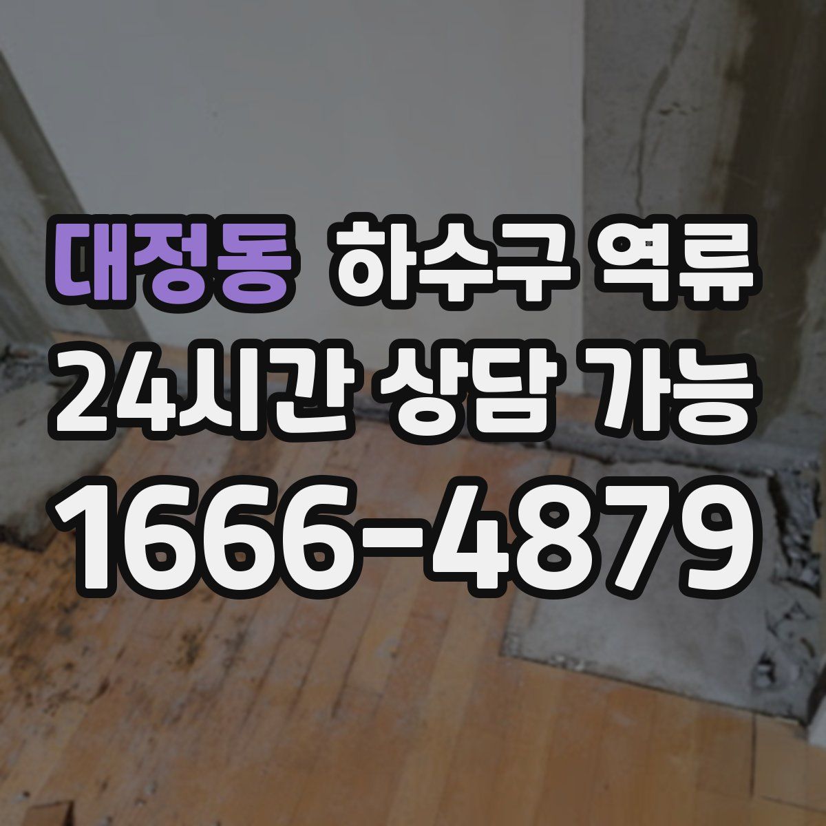 대정동 하수구 역류