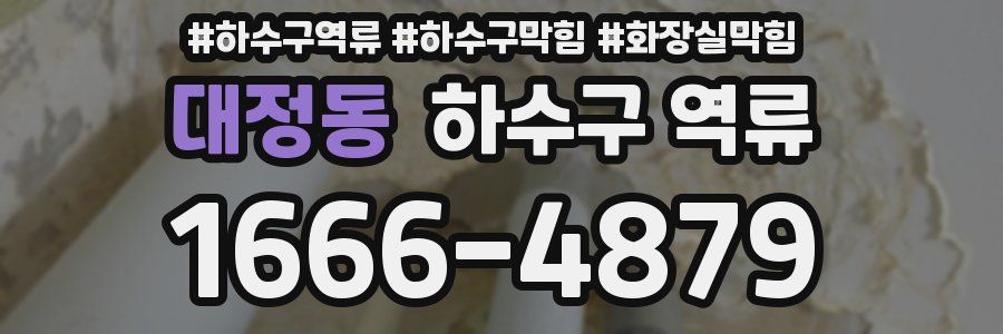 대정동 하수구 역류