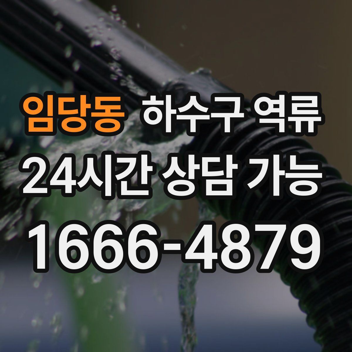 임당동 하수구 역류