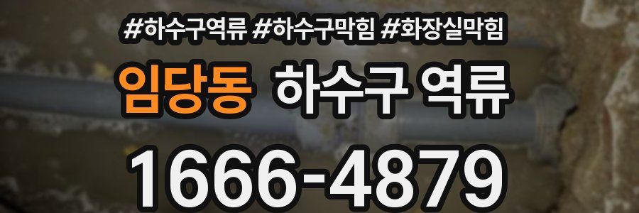 임당동 하수구 역류