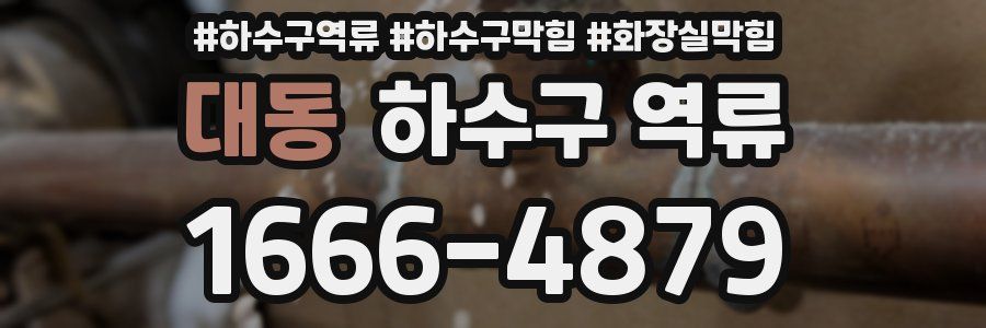 대동 하수구 역류