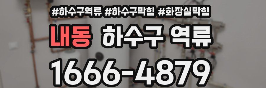 내동 하수구 역류