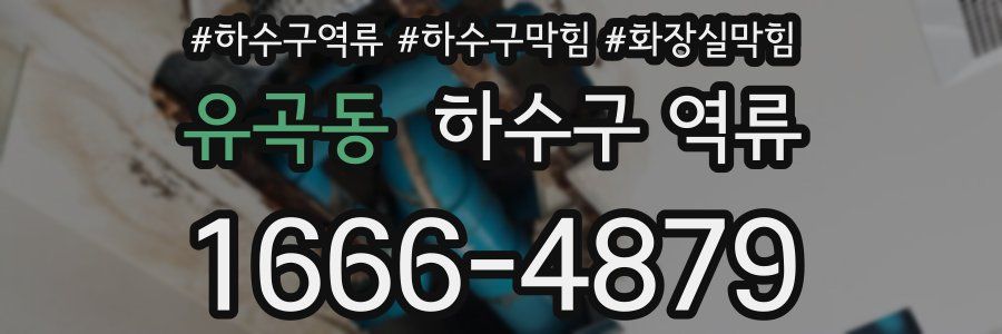 유곡동 하수구 역류