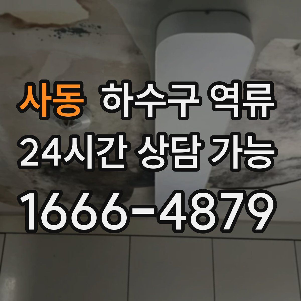 사동 하수구 역류