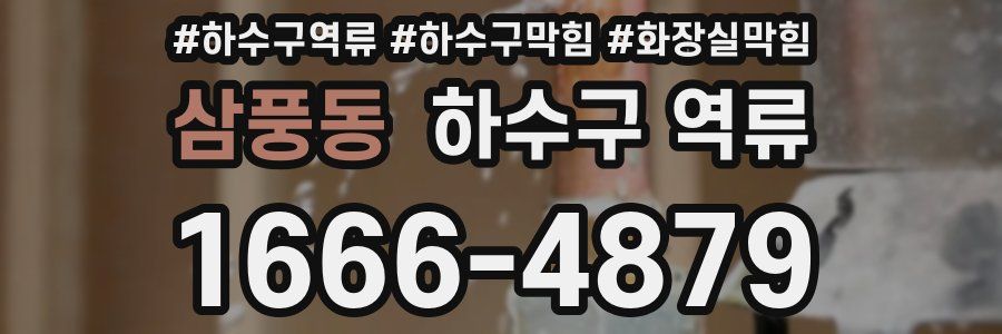 삼풍동 하수구 역류