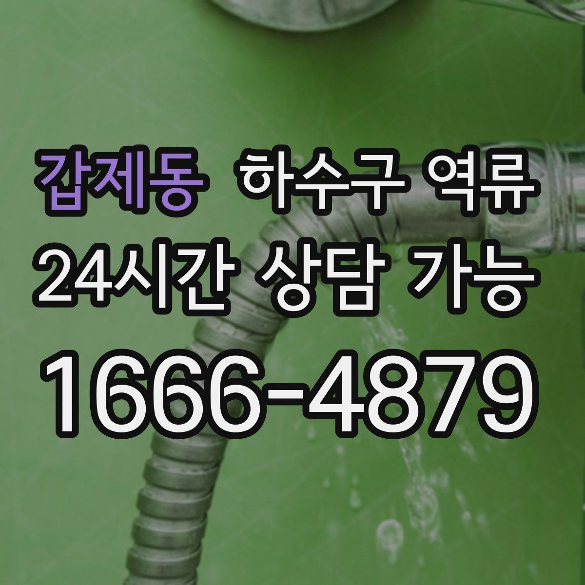 갑제동 하수구 역류