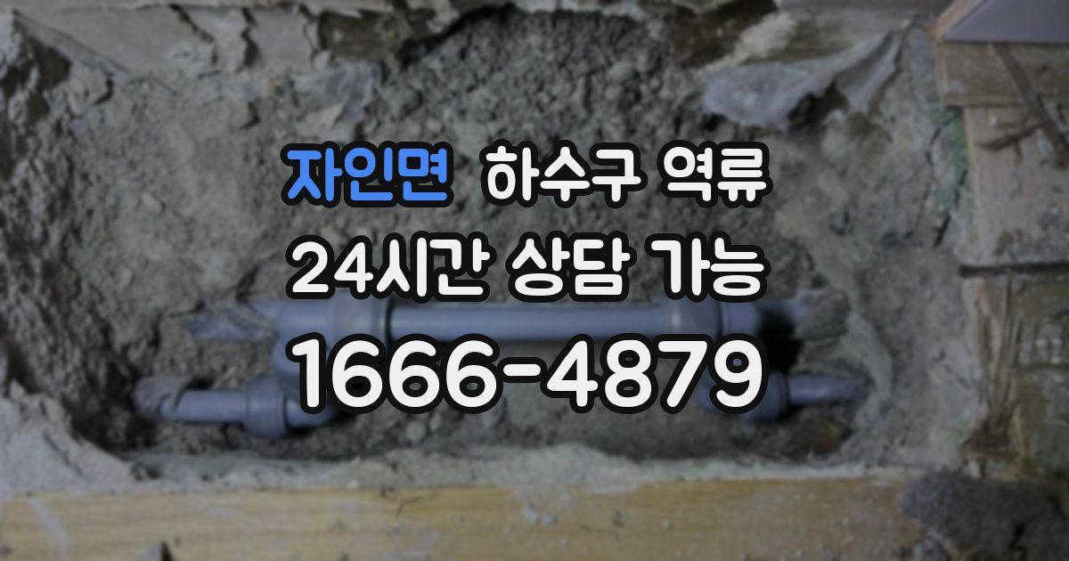 자인면 하수구 역류
