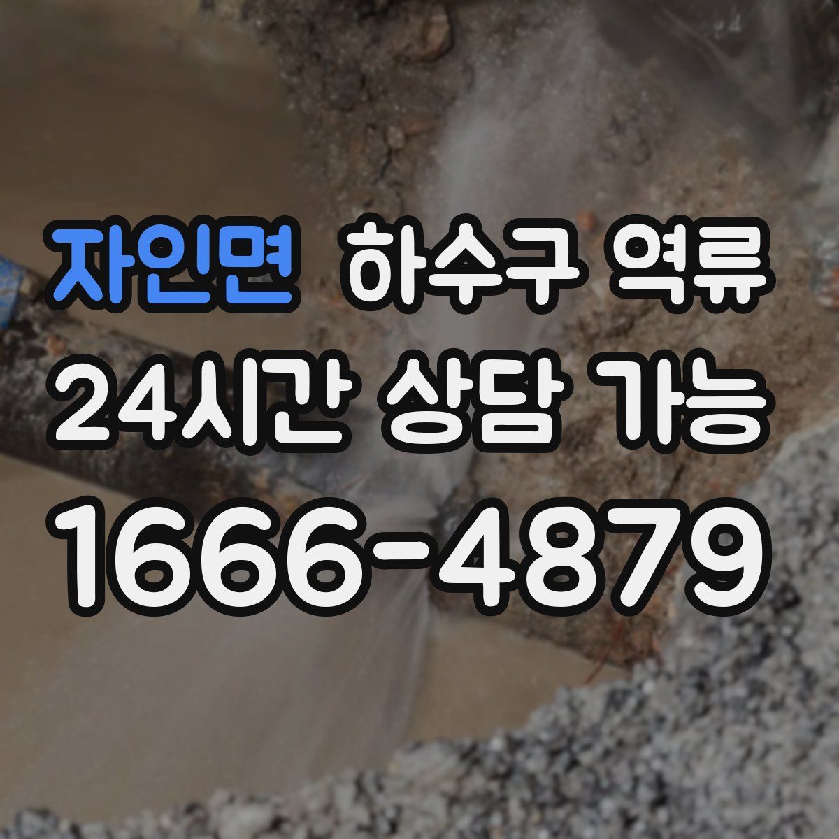 자인면 하수구 역류
