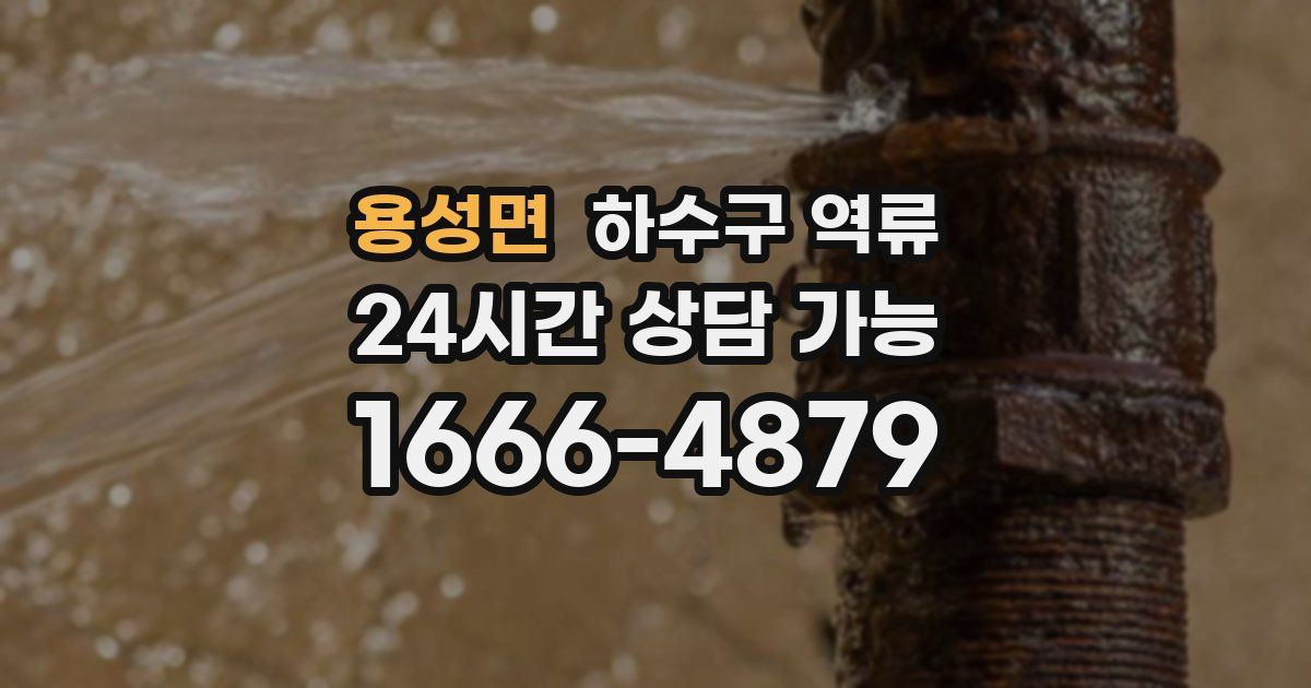 용성면 하수구 역류