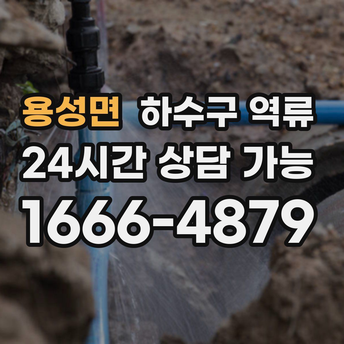 용성면 하수구 역류