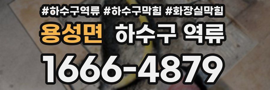 용성면 하수구 역류