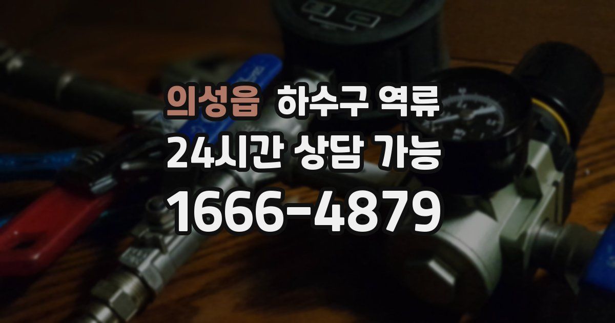 의성읍 하수구 역류