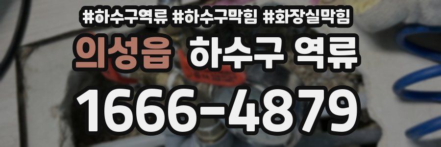 의성읍 하수구 역류