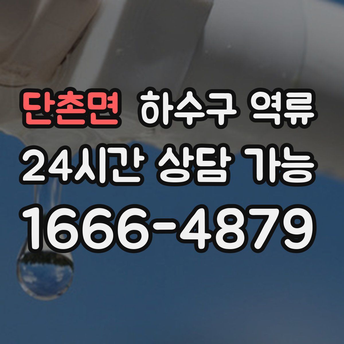 단촌면 하수구 역류