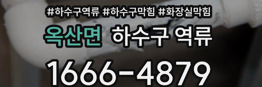 옥산면 하수구 역류