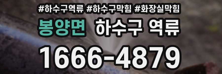 봉양면 하수구 역류