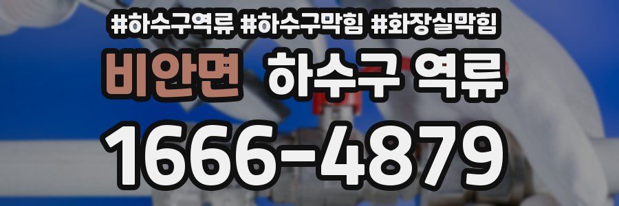 비안면 하수구 역류