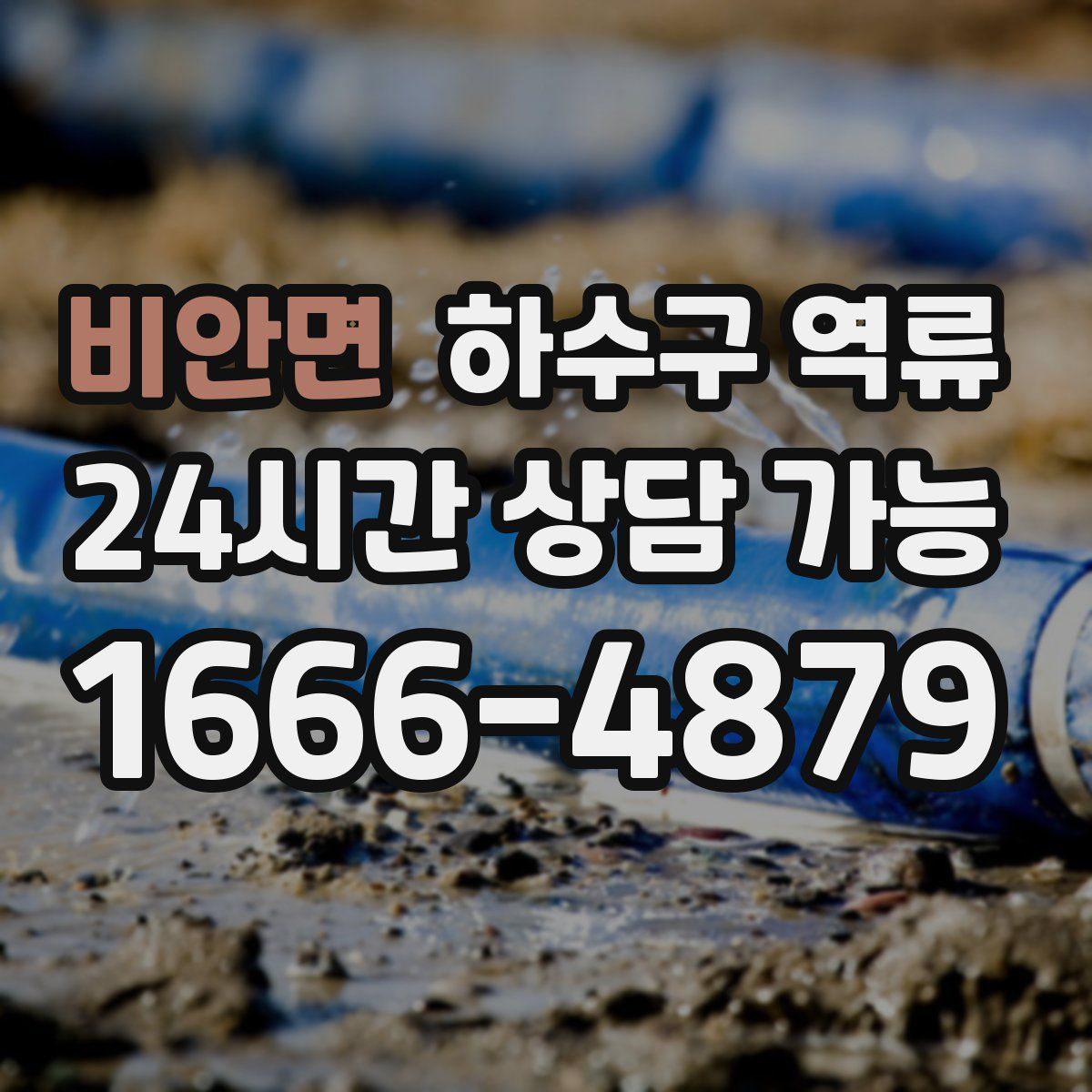 비안면 하수구 역류