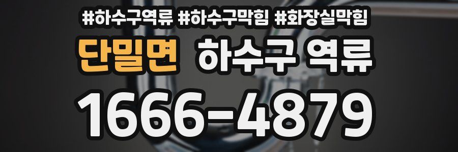 단밀면 하수구 역류