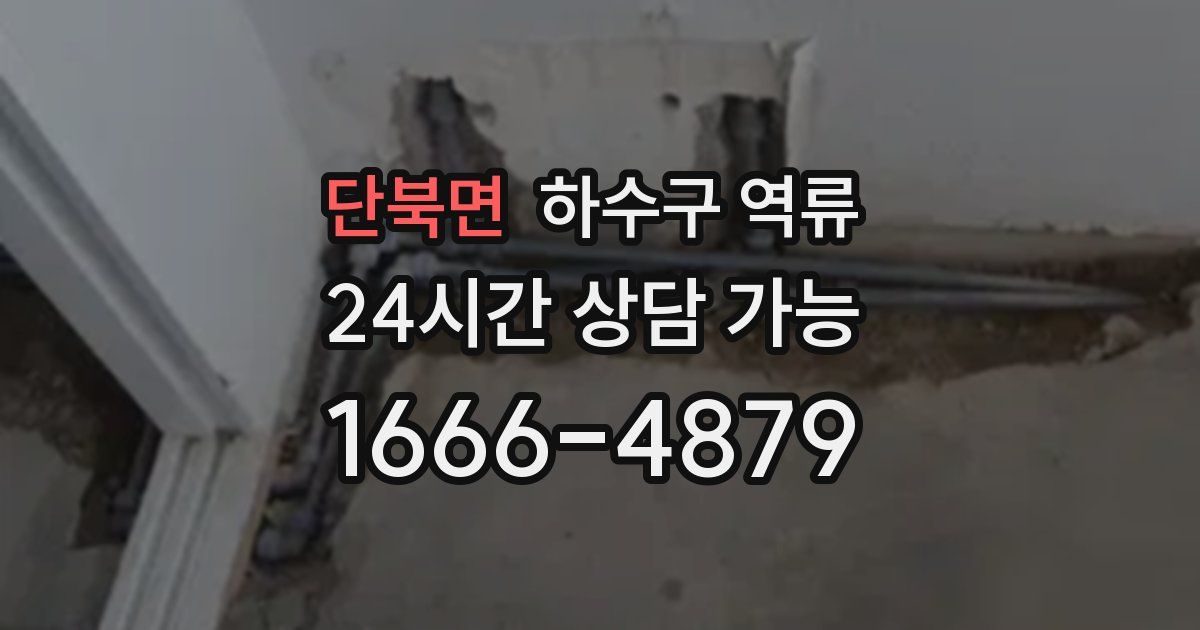 단북면 하수구 역류